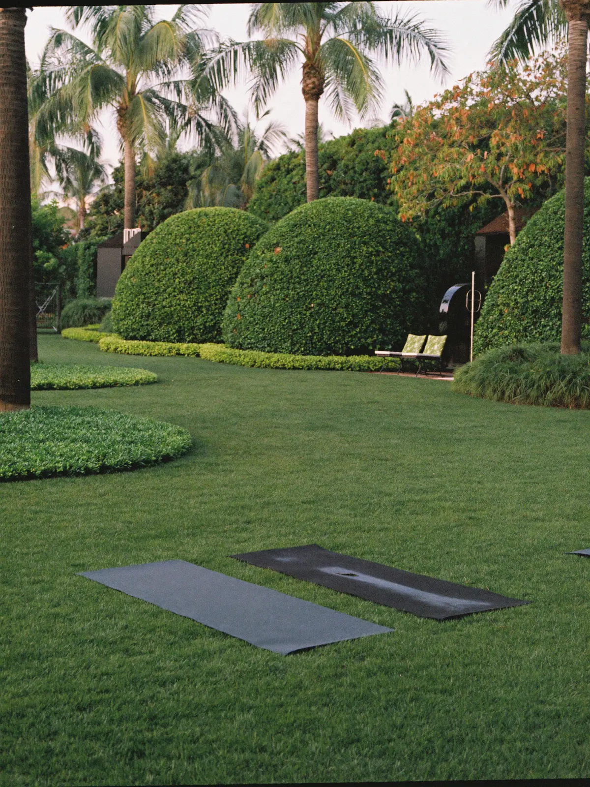 A lush hotel garden lawn in soft morning light with mats laid out